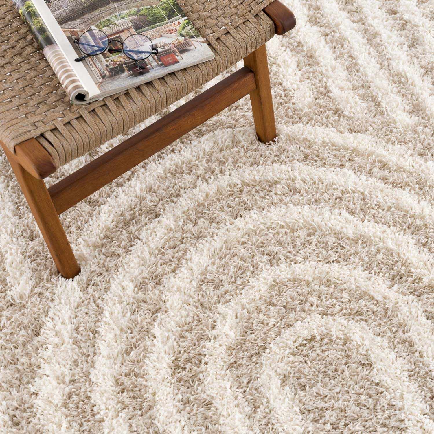 Emmly Shag Area Rug by Boutique Rugs