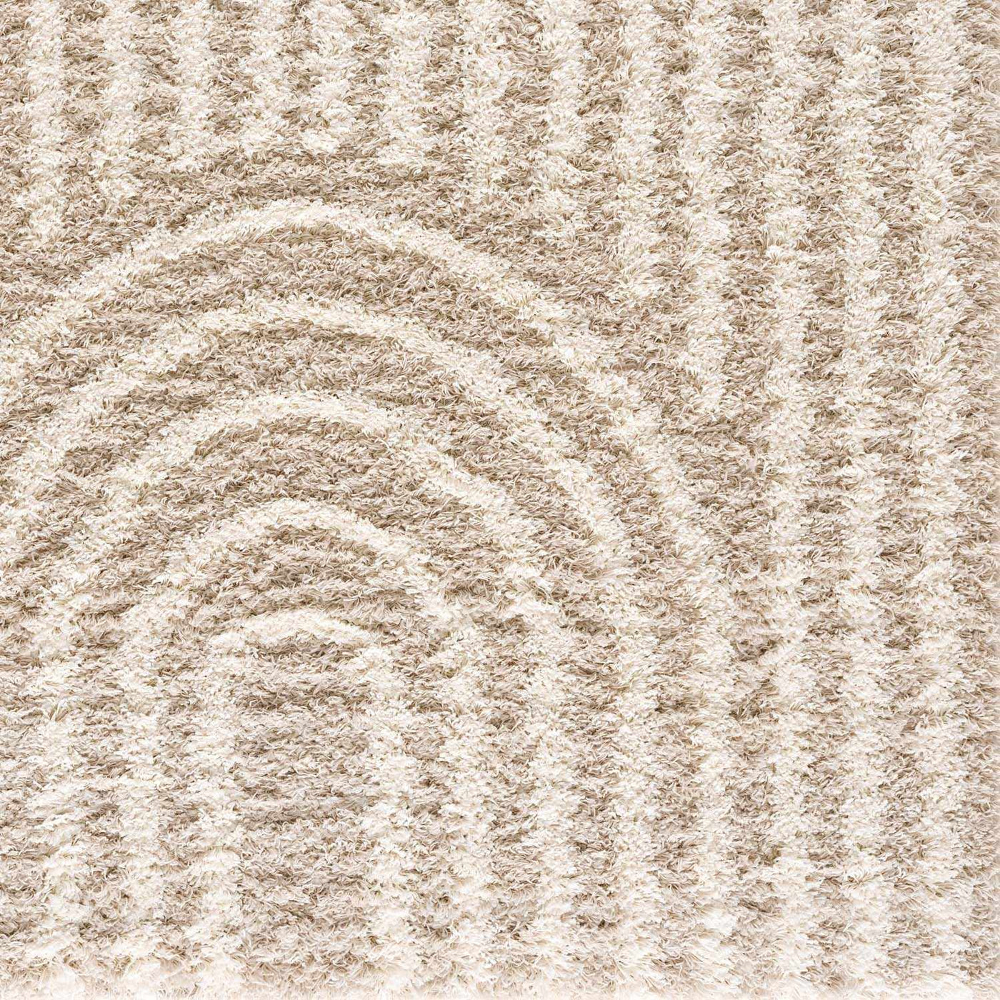 Emmly Shag Area Rug by Boutique Rugs