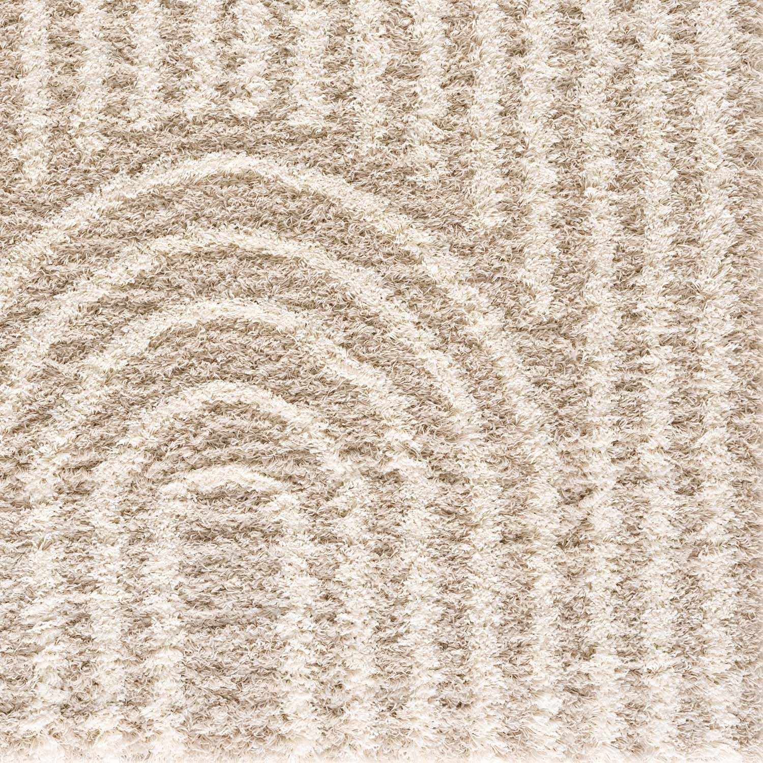 Emmly Shag Area Rug by Boutique Rugs