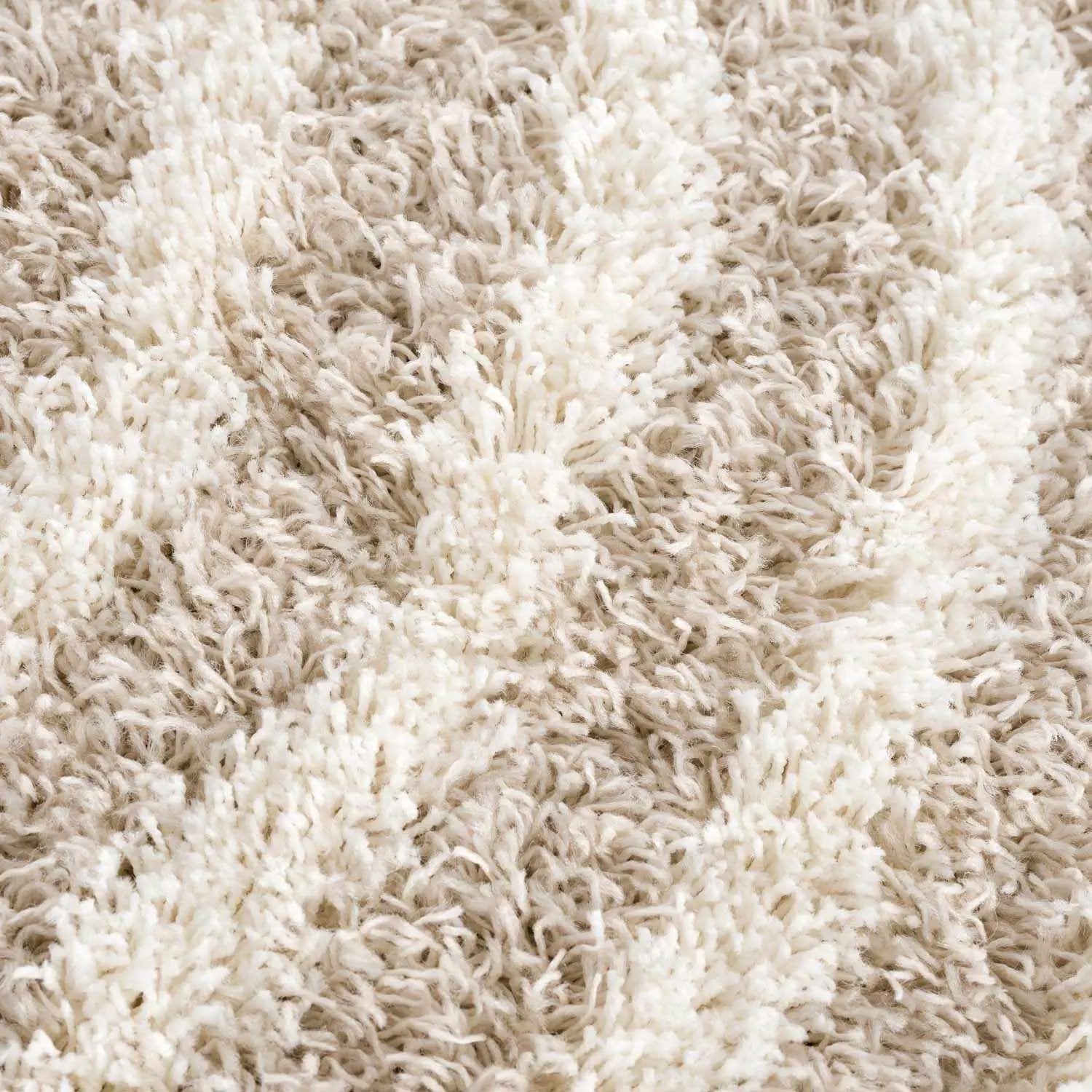 Emmly Shag Area Rug by Boutique Rugs