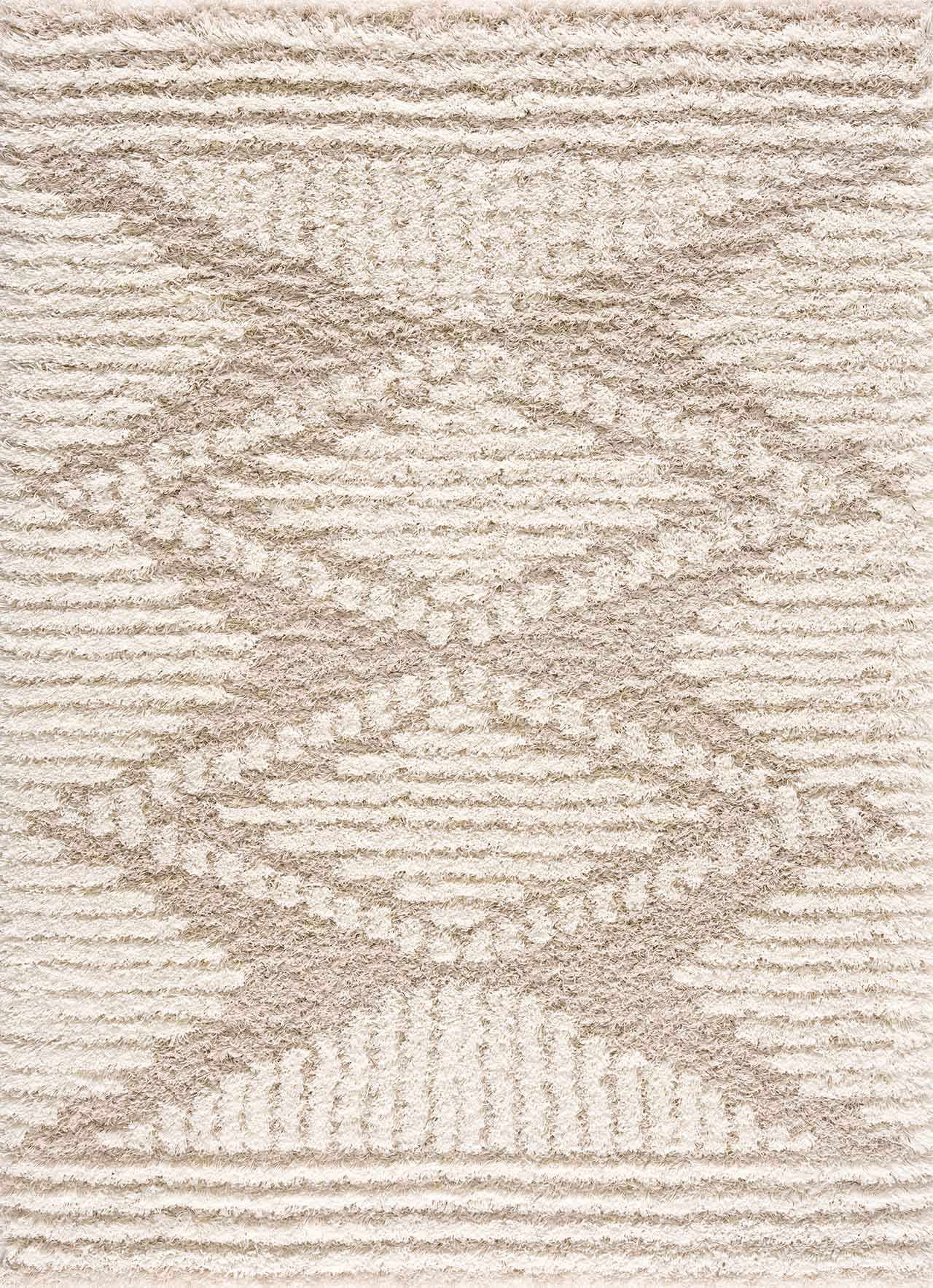 Igor Shag Area Rug by Boutique Rugs