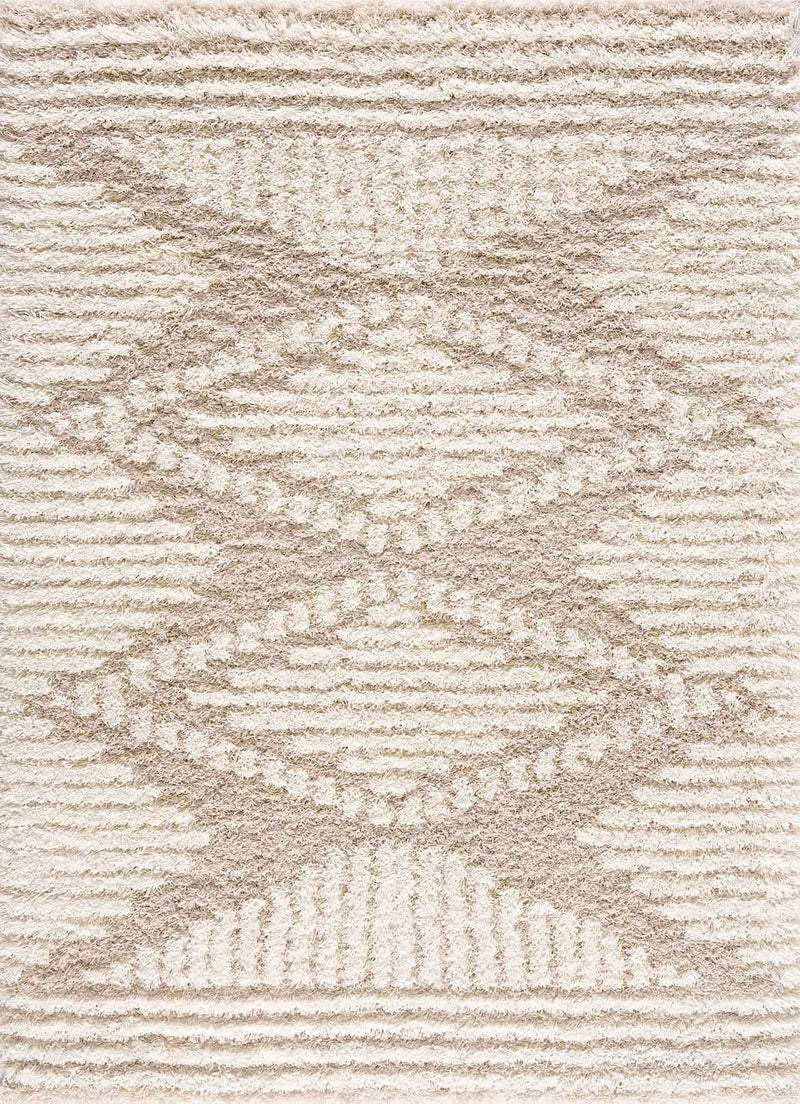 Igor Shag Area Rug by Boutique Rugs