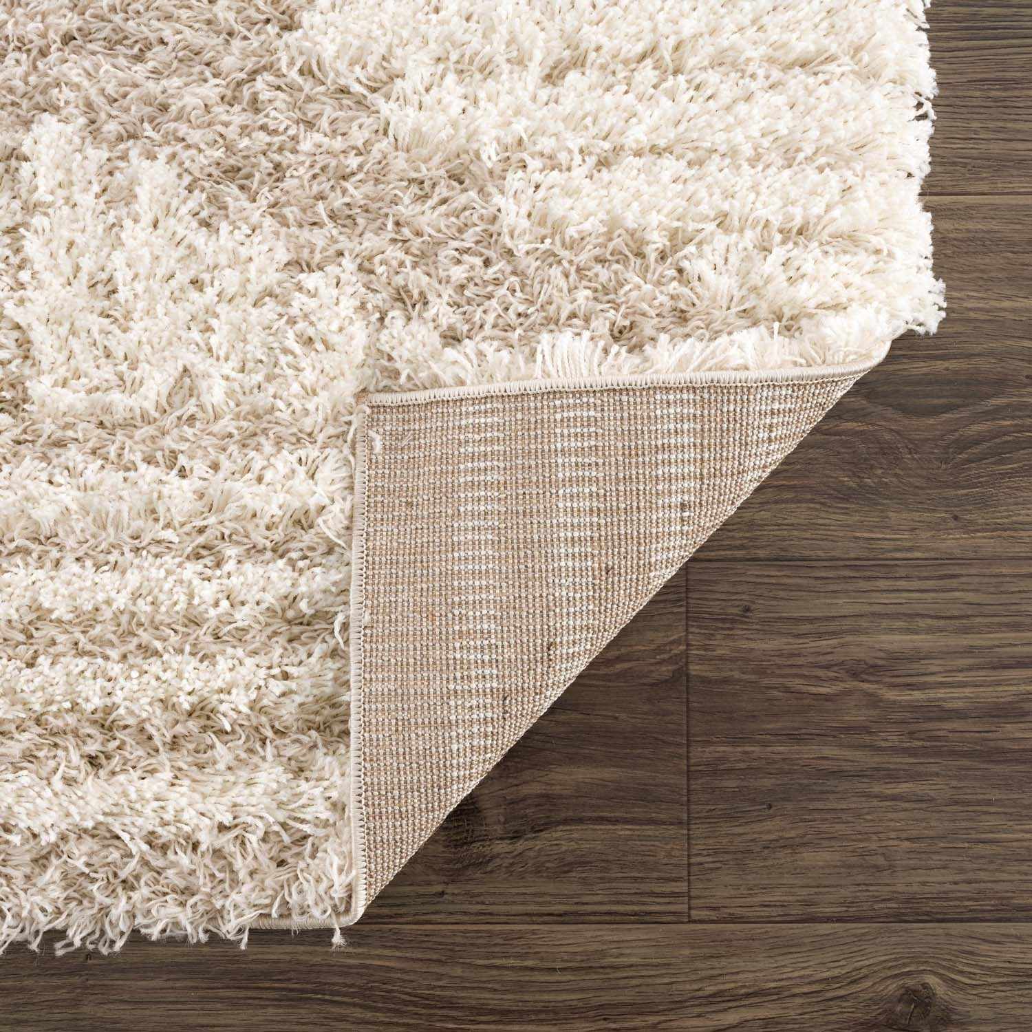 Igor Shag Area Rug by Boutique Rugs