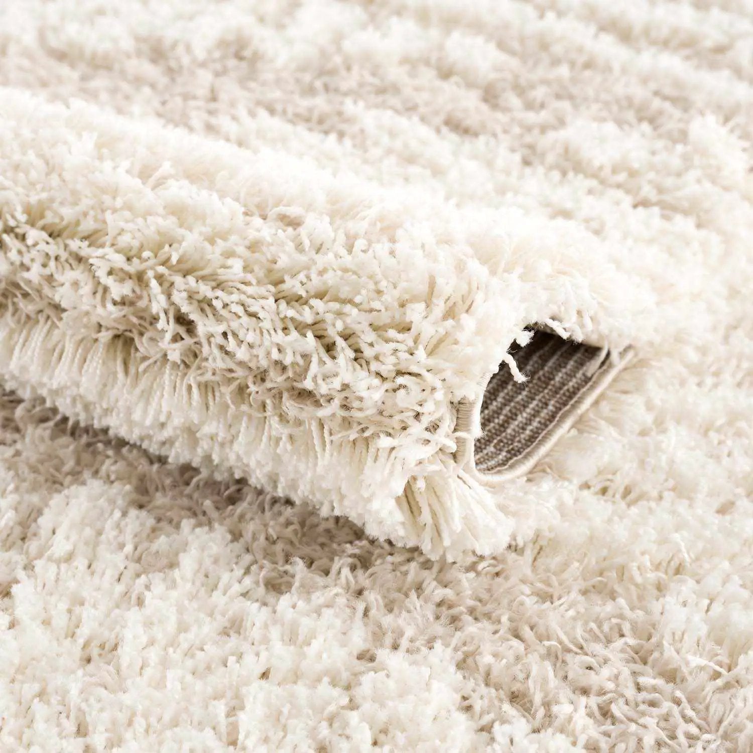 Igor Shag Area Rug by Boutique Rugs