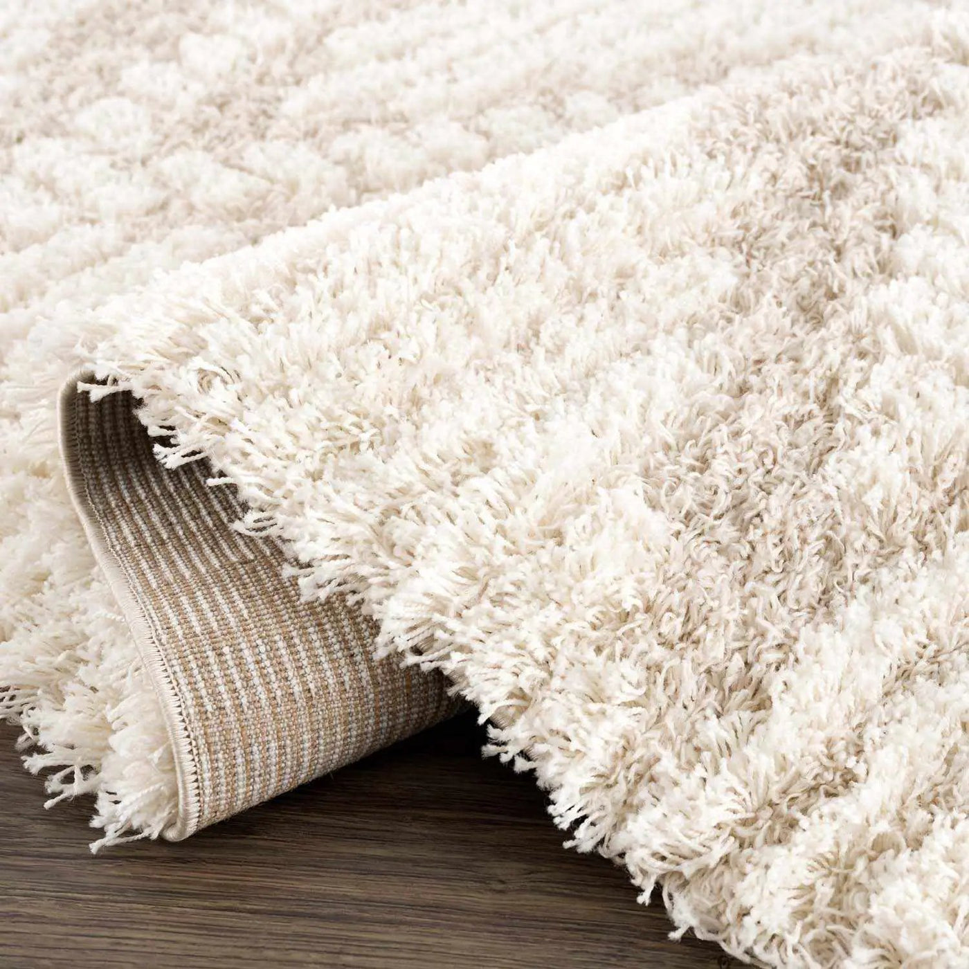 Igor Shag Area Rug by Boutique Rugs