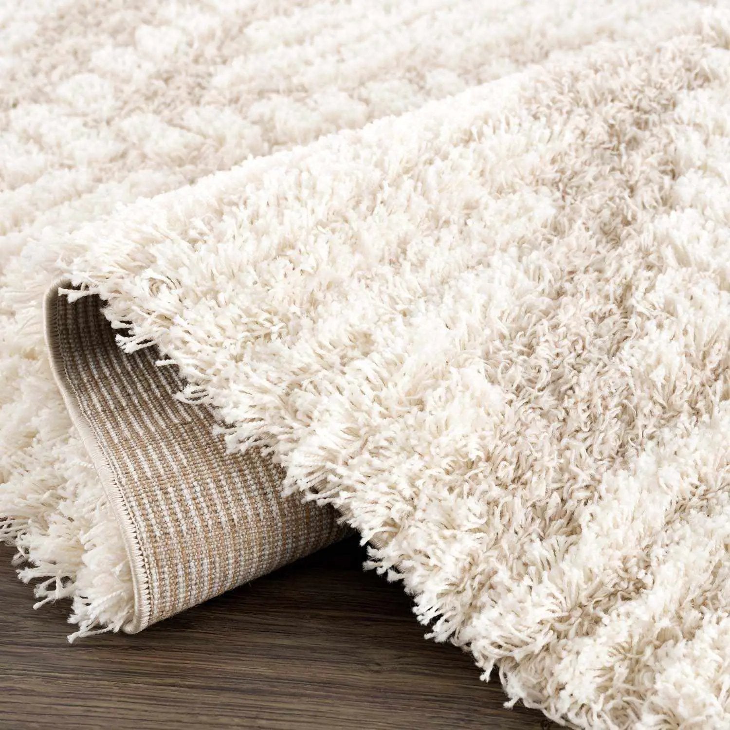 Igor Shag Area Rug by Boutique Rugs