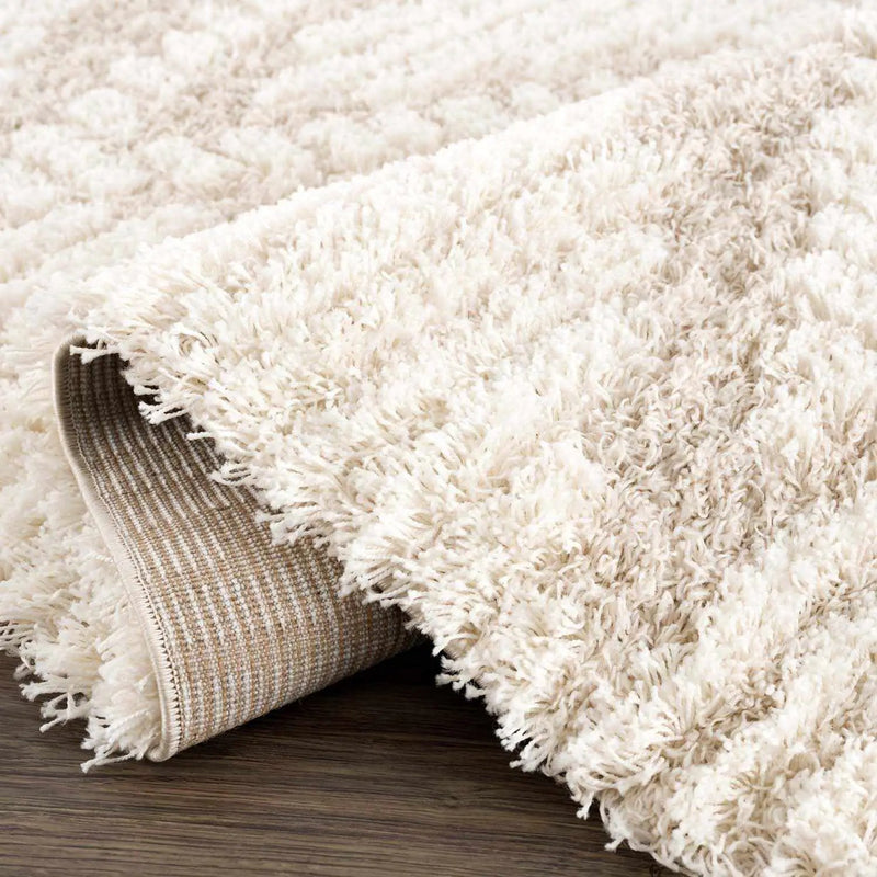 Igor Shag Area Rug by Boutique Rugs