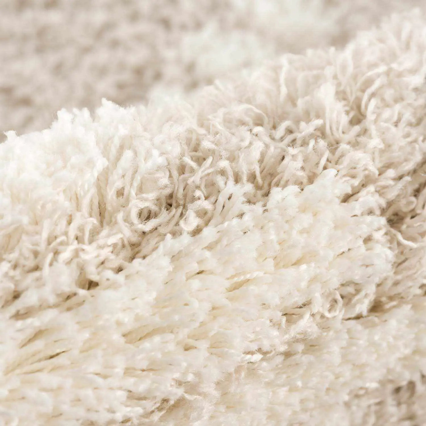 Igor Shag Area Rug by Boutique Rugs