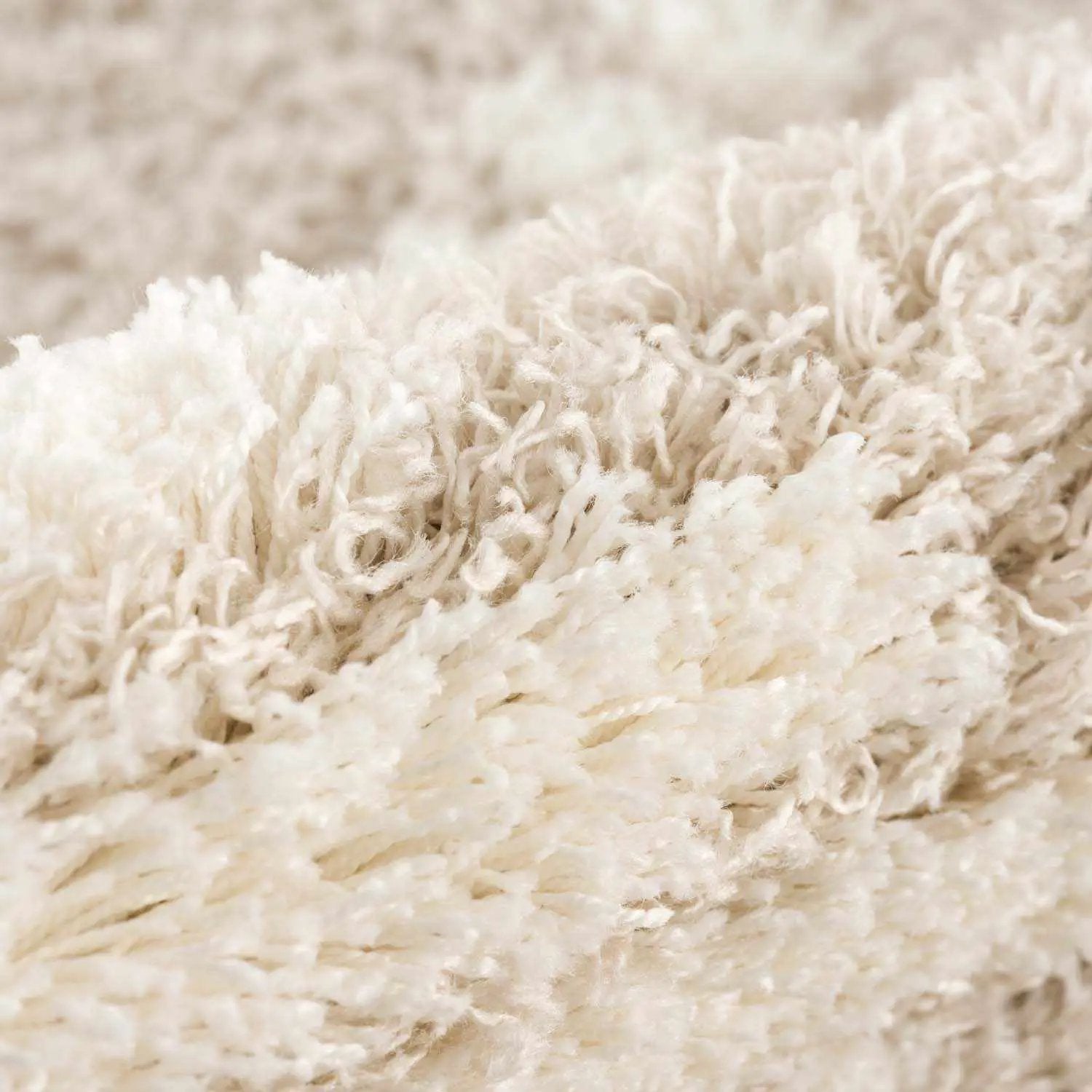 Igor Shag Area Rug by Boutique Rugs