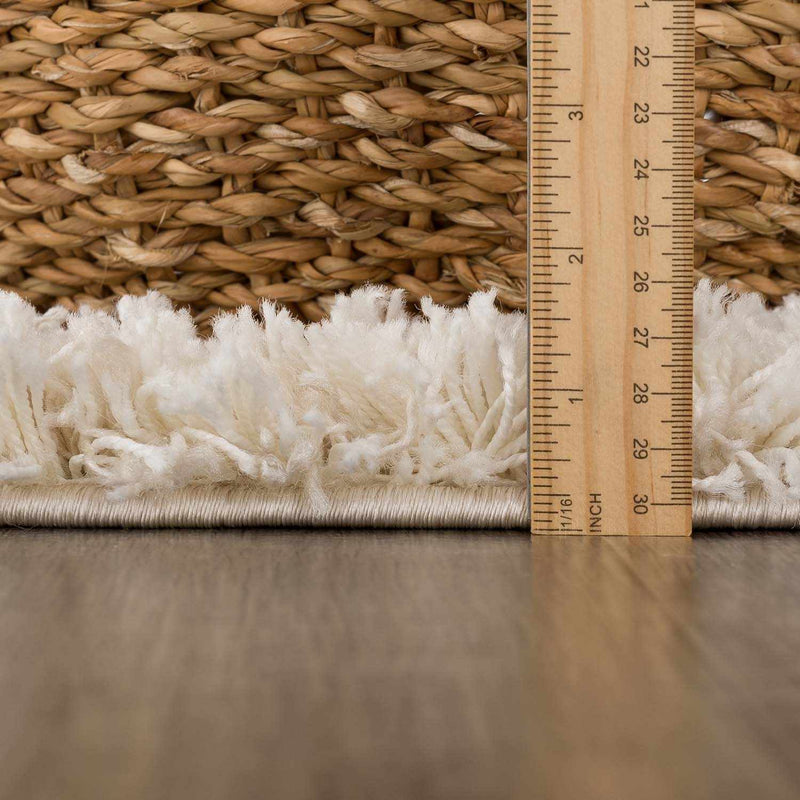 Igor Shag Area Rug by Boutique Rugs
