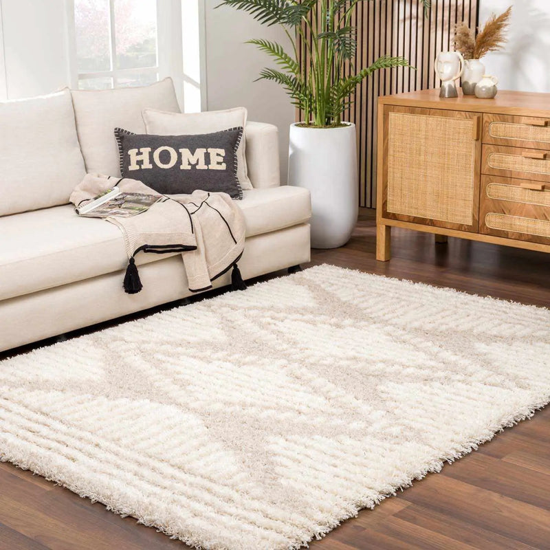 Igor Shag Area Rug by Boutique Rugs