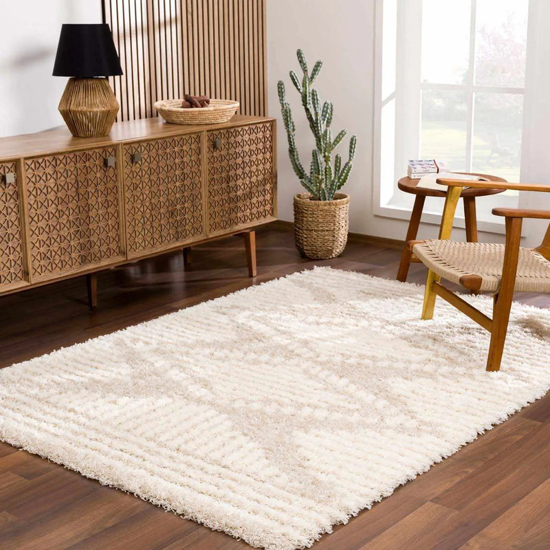 Igor Shag Area Rug by Boutique Rugs