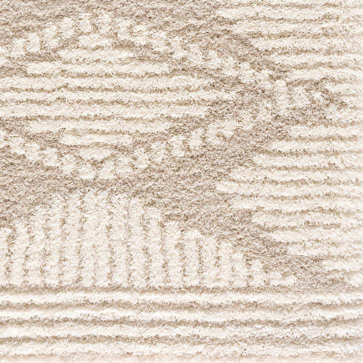 Igor Shag Area Rug by Boutique Rugs