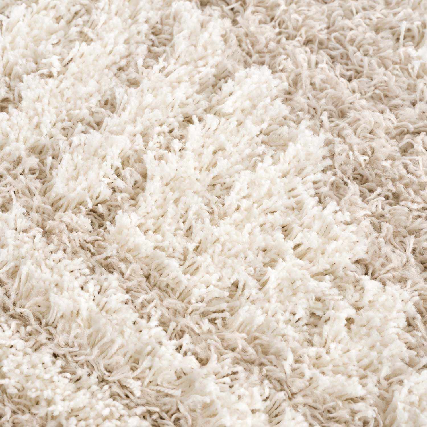Igor Shag Area Rug by Boutique Rugs