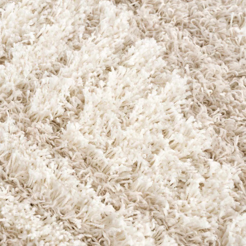 Igor Shag Area Rug by Boutique Rugs