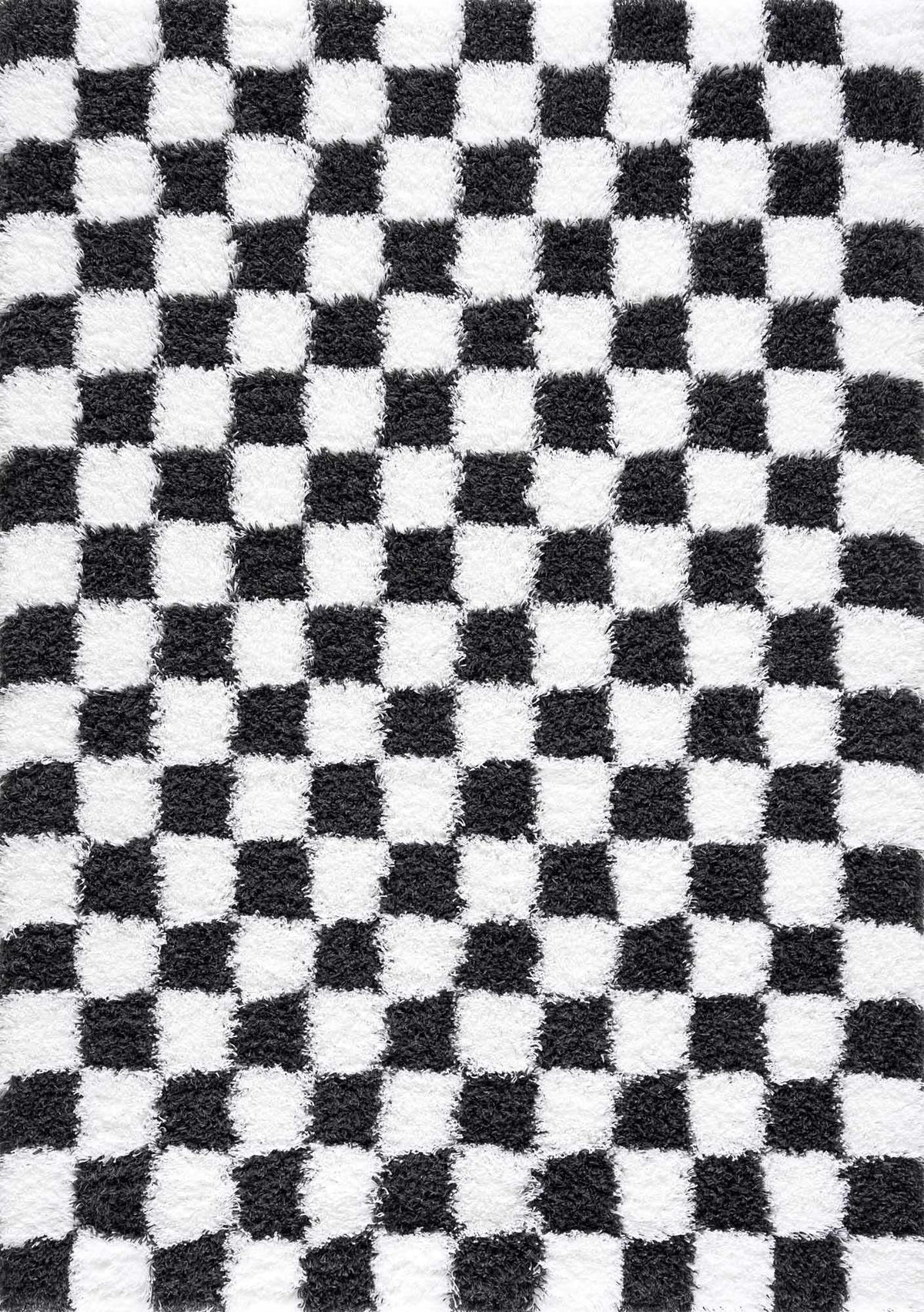 Atira Black & White Checkered Area Rug by Hauteloom