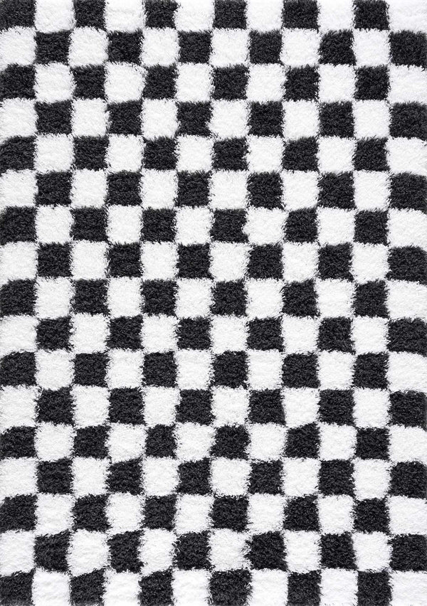 Atira Black & White Checkered Area Rug, photo 2 of 18