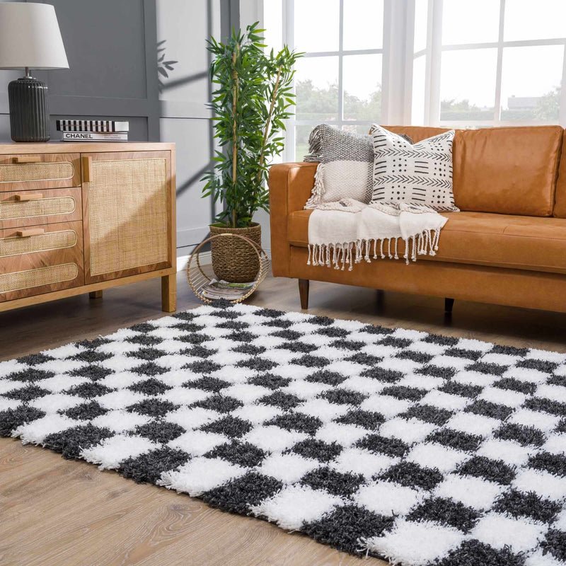 Atira Black & White Checkered Area Rug by Hauteloom