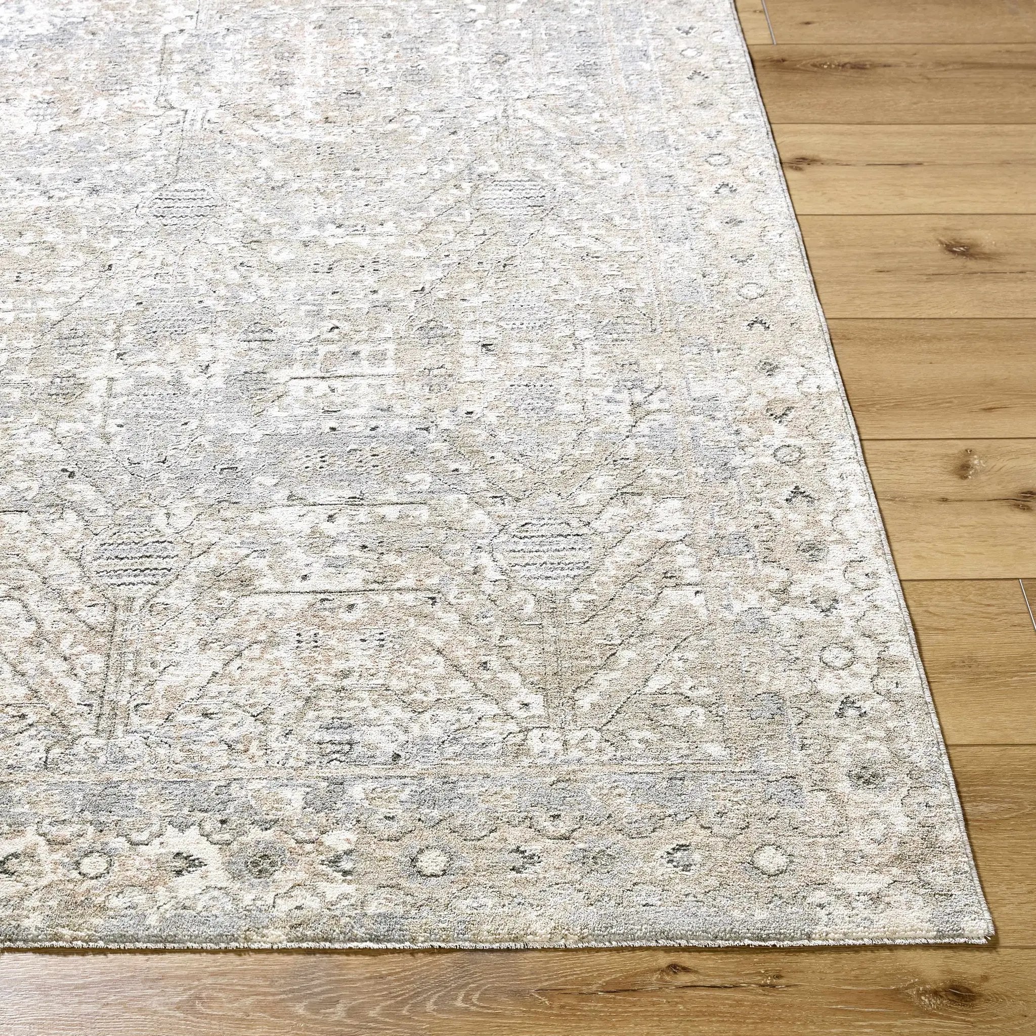 Avalyn Area Rug by Boutique Rugs