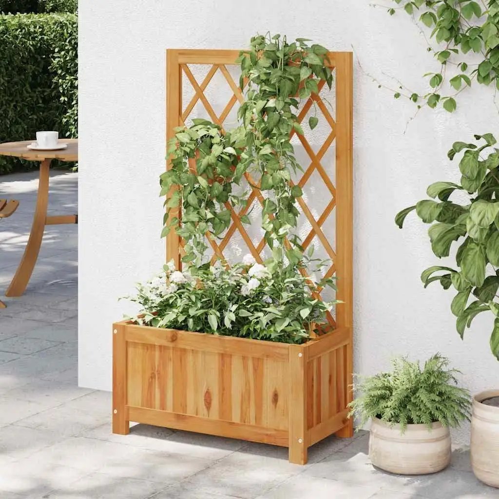 Solid Wood Outdoor Raised Garden Bed Planter with Lattice Trellis by HomePacific