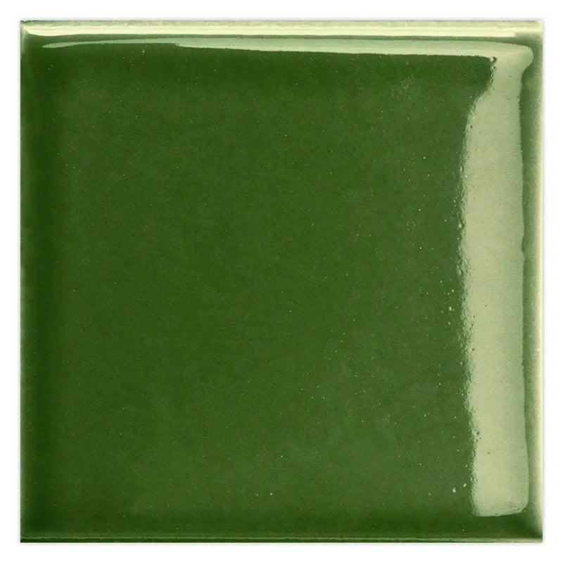 Deep Forest Green 2x2 Glossy Square Porcelain Tile (50 pack, 0.86 sq ft/case) by Apollo Tile