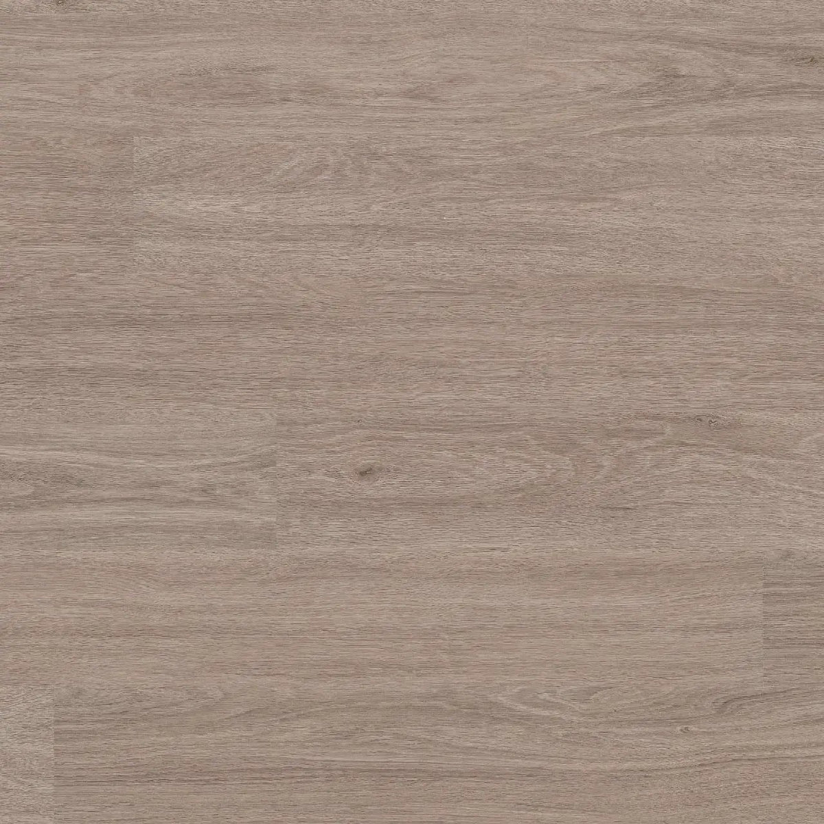 Glenridge Bleached Elm Matte Wood Look Lvt Planks 6x48 by MSI Surfaces