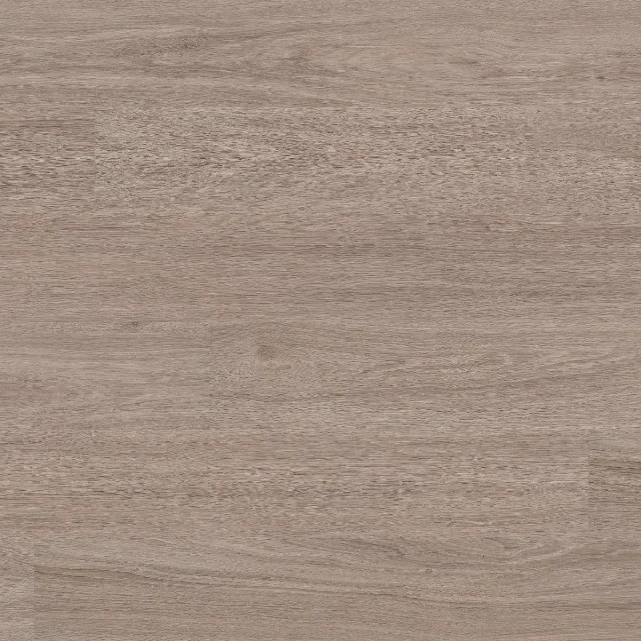 Katavia Bleached Elm Matte Wood Look Lvt Planks 6x48 close up