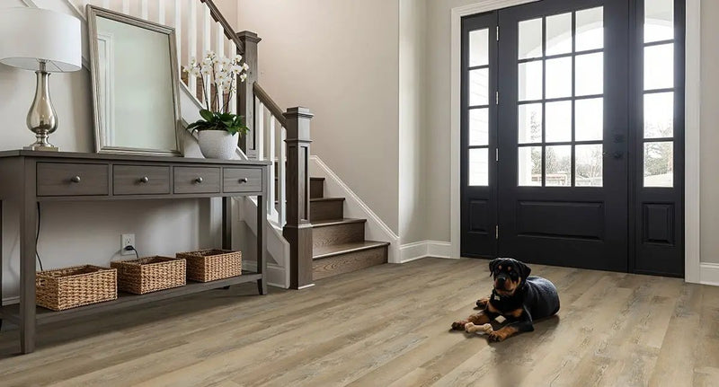 Katavia Lime Washed Oak Matte Wood Look Lvt Planks 6x48 by MSI Surfaces