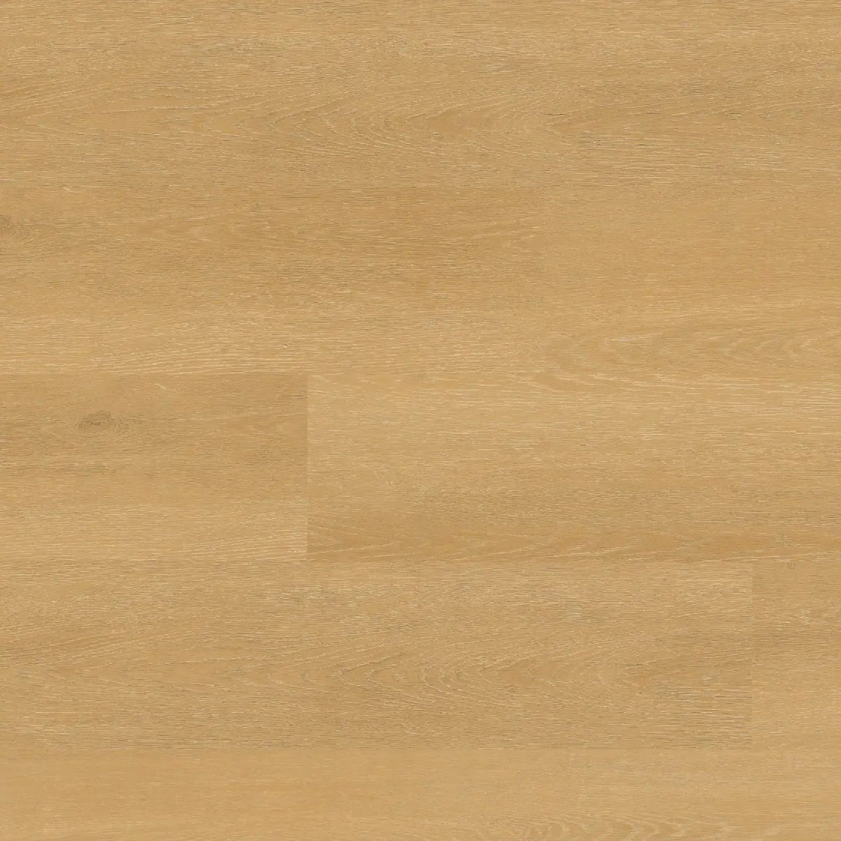 Nove Reserve Selbourne Matte Wood Look Lvt Planks 9x48 by MSI Surfaces