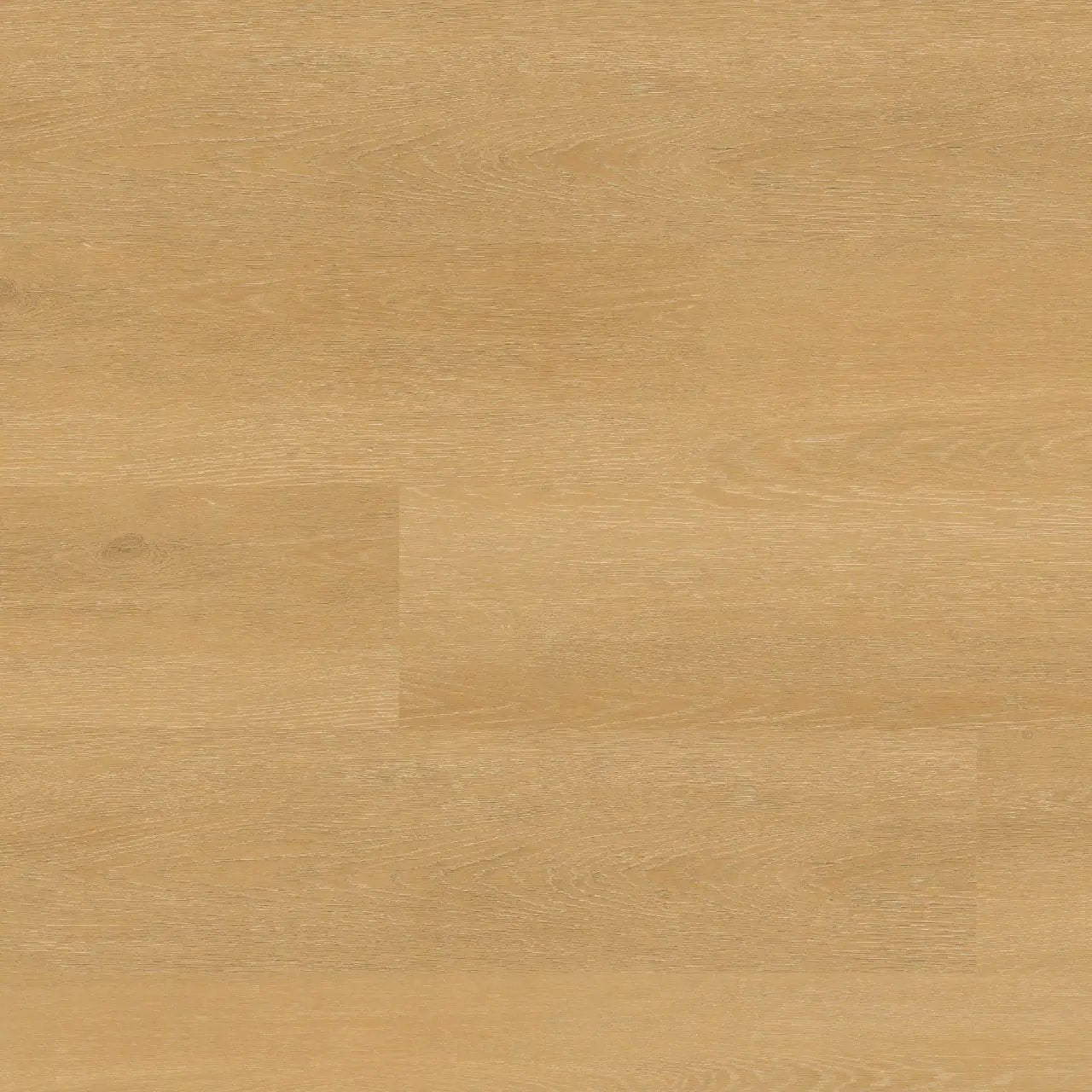 Nove Plus Selbourne Matte Wood Look Lvt Planks 9x48 by MSI Surfaces
