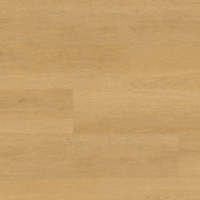 Nove Plus Selbourne Matte Wood Look Lvt Planks 9x48 by MSI Surfaces