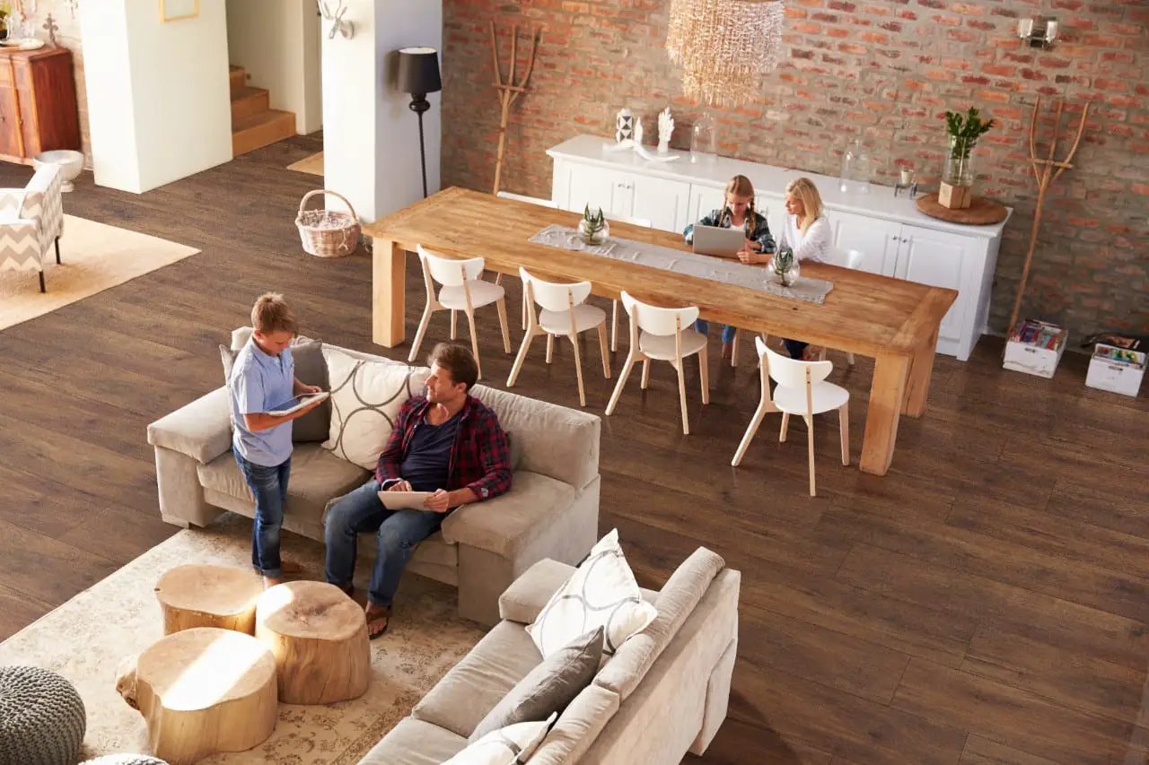 Xl Cyrus Braly Matte Wood Look Lvt Planks 9x60 in a finished room