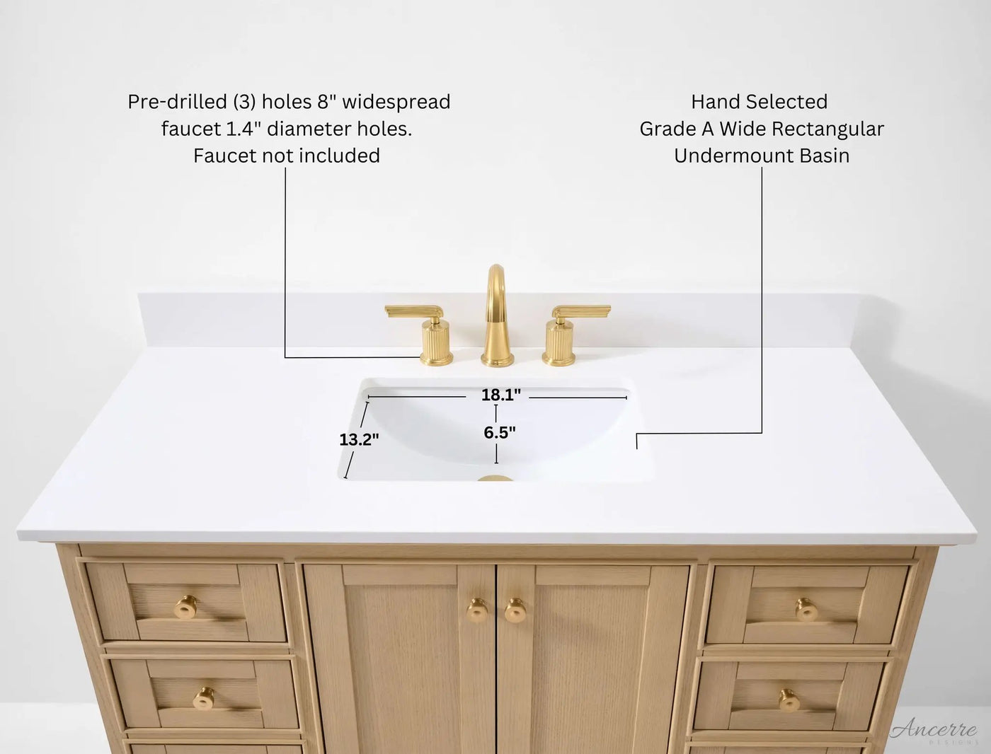 Audrey 48" Bath Vanity Set by Ancerre Designs