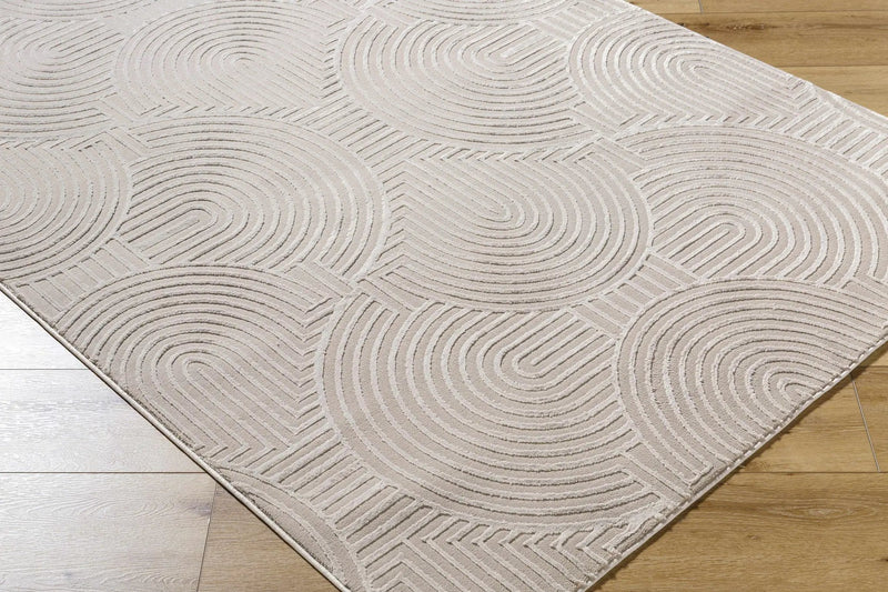 Aucoin Taupe 3D Rainbow Washable Area Rug by Boutique Rugs