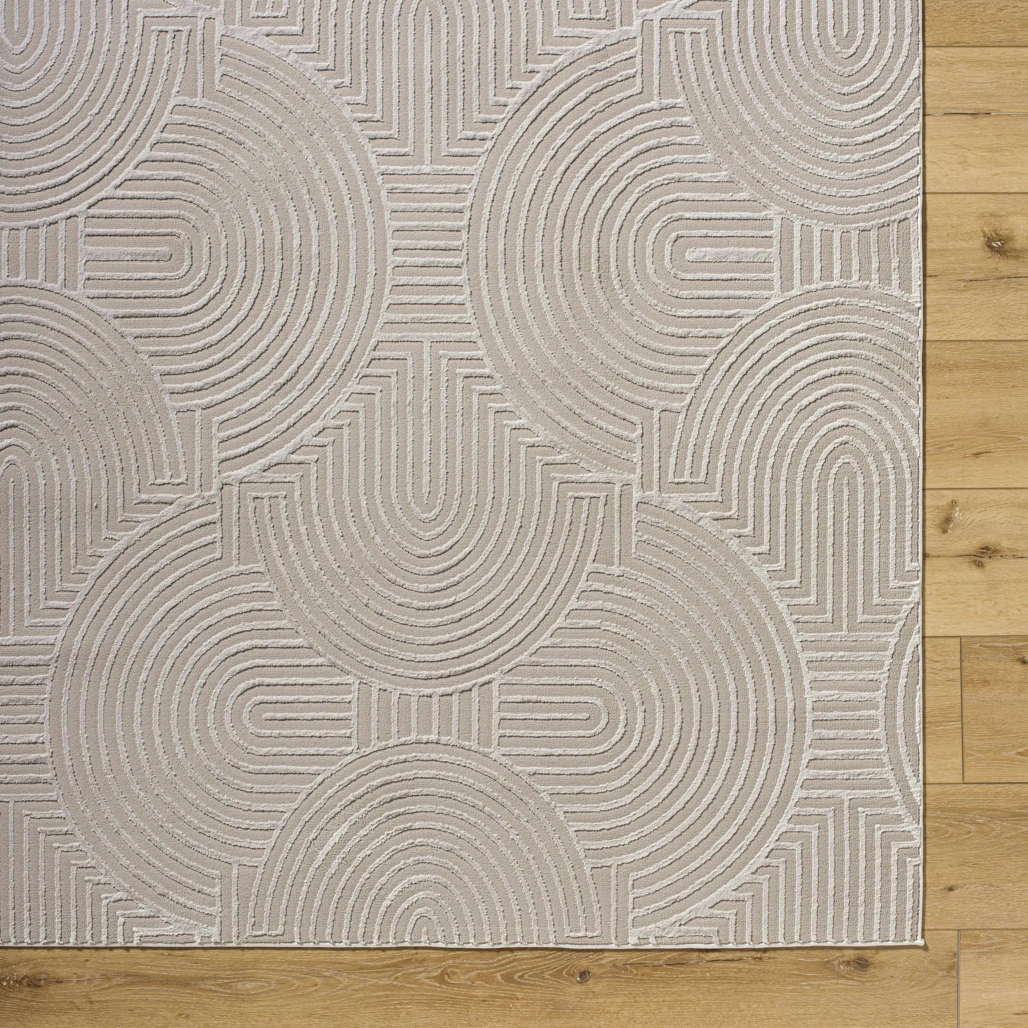 Aucoin Taupe 3D Rainbow Washable Area Rug by Boutique Rugs