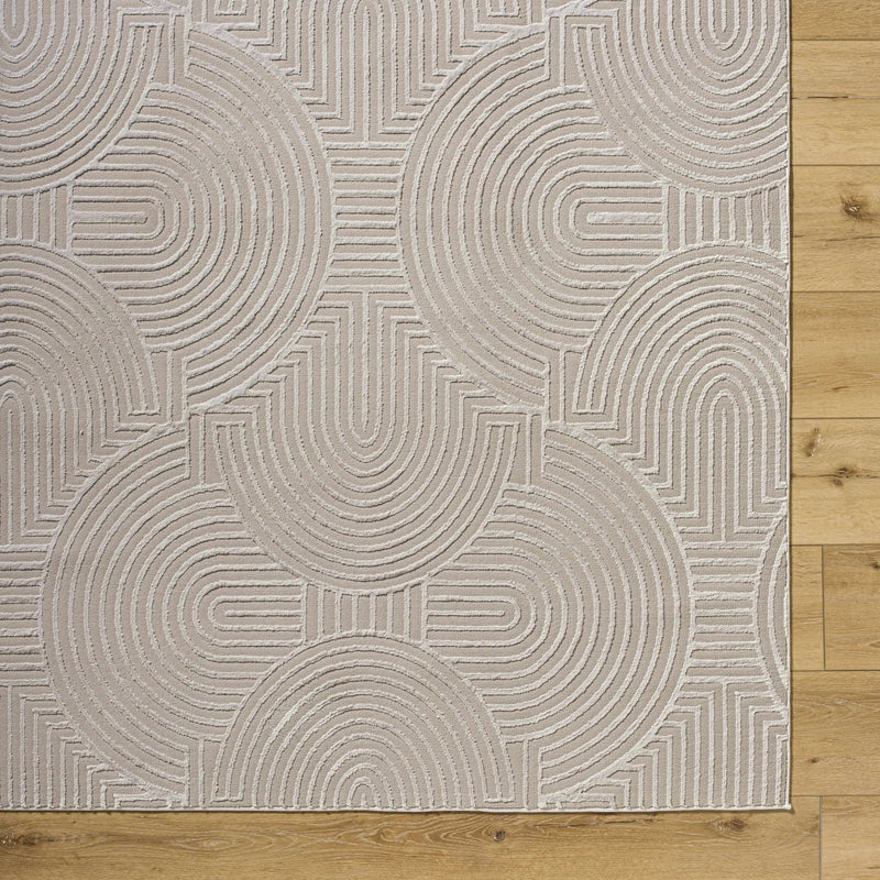 Aucoin Taupe 3D Rainbow Washable Area Rug by Boutique Rugs