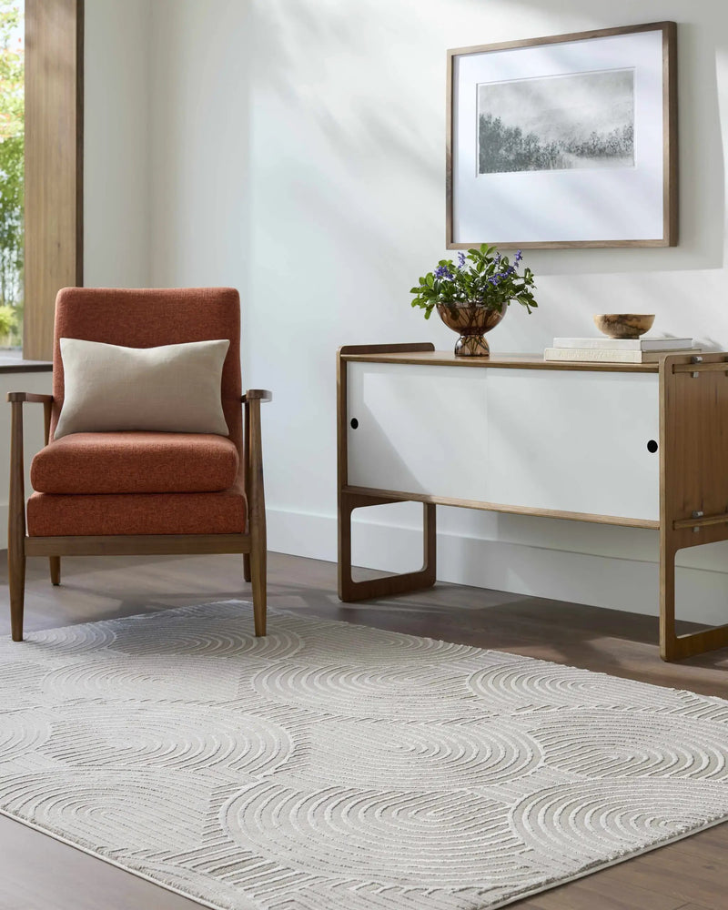 Aucoin Taupe 3D Rainbow Washable Area Rug by Boutique Rugs