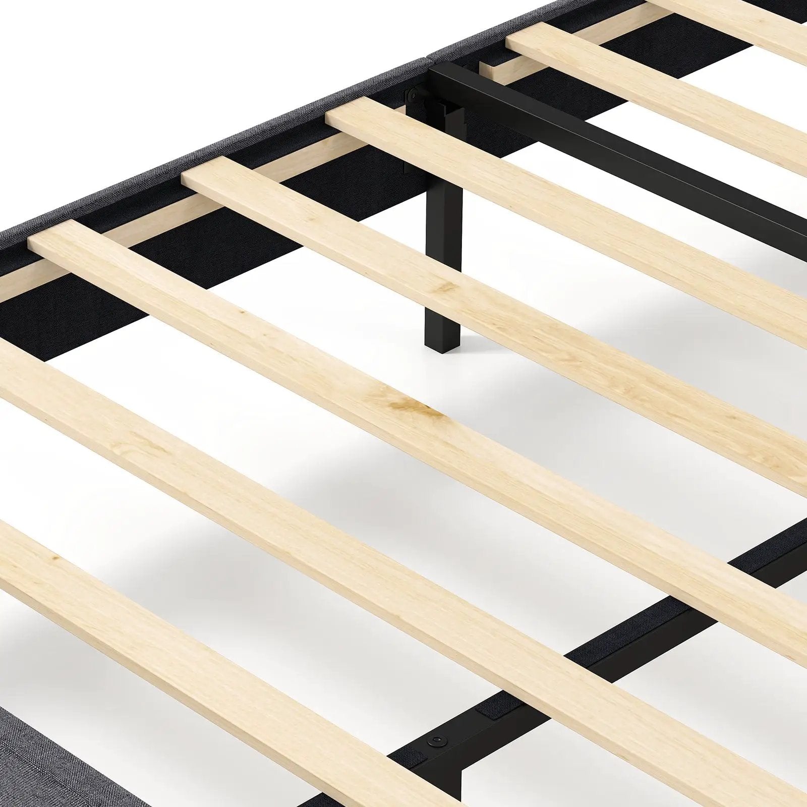 Velvet Upholstered Platform Bed with Height Adjustable Vertical Channel Headboard by DirectDeals