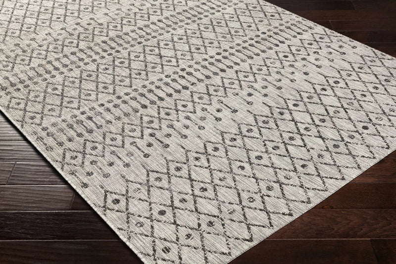Wallkill Outdoor Area Rug by Boutique Rugs
