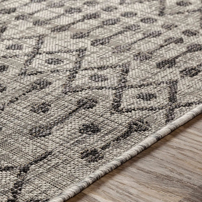 Wallkill Outdoor Area Rug by Boutique Rugs