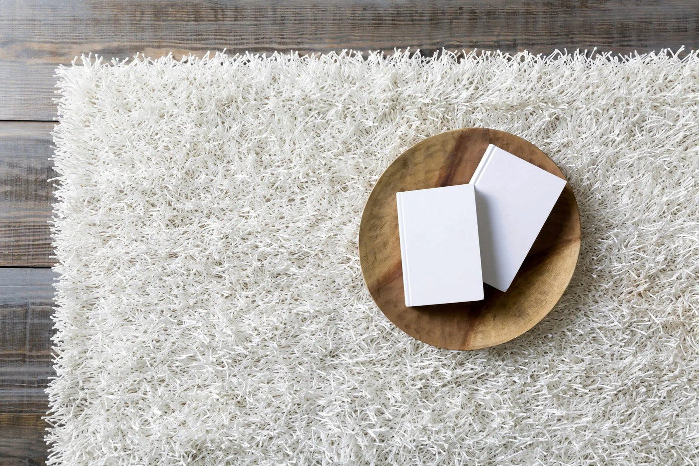 Browder Solid Beige Shag Area Rug - Clearance by Boutique Rugs
