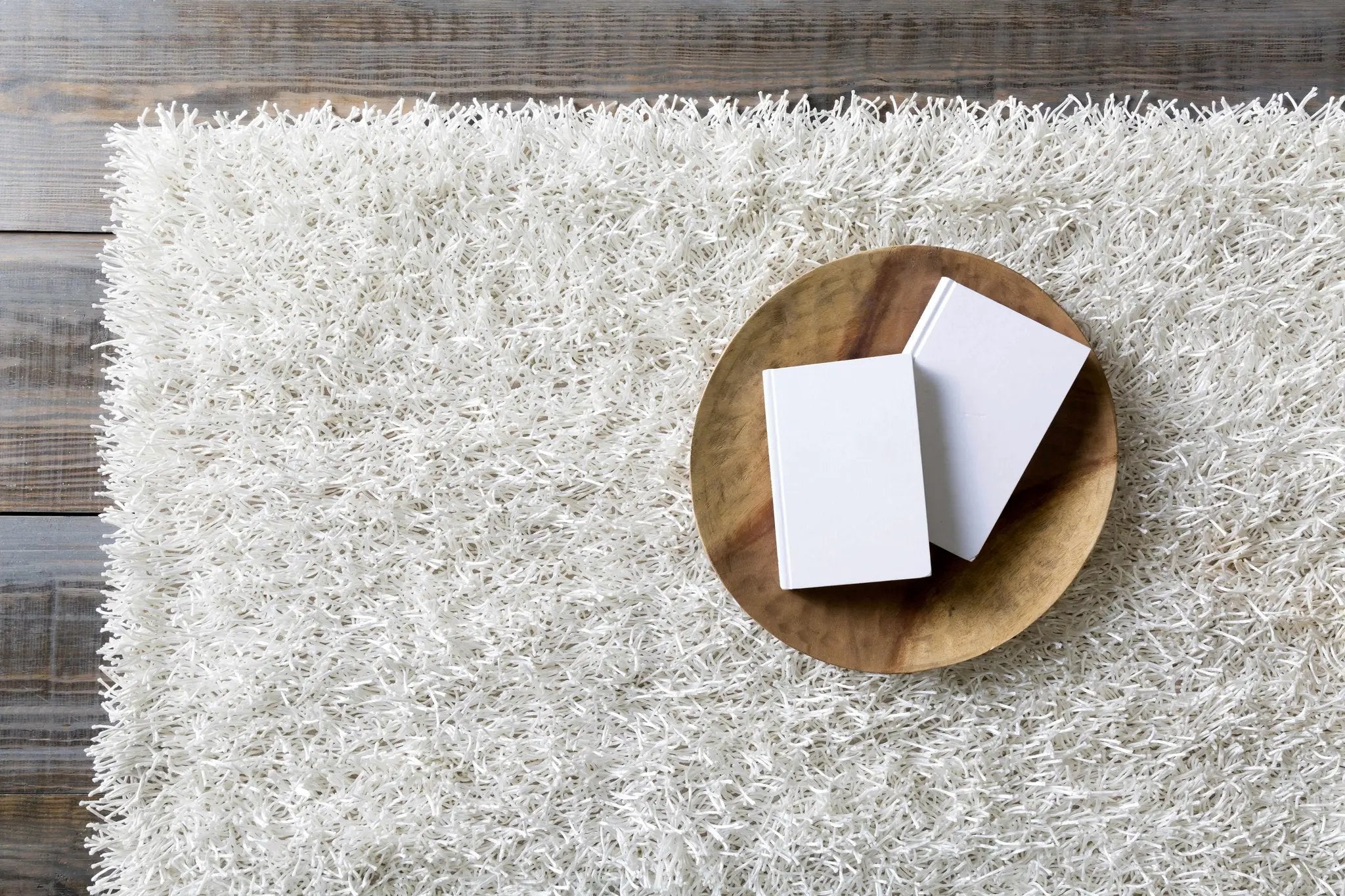 Browder Solid Beige Shag Area Rug - Clearance by Boutique Rugs