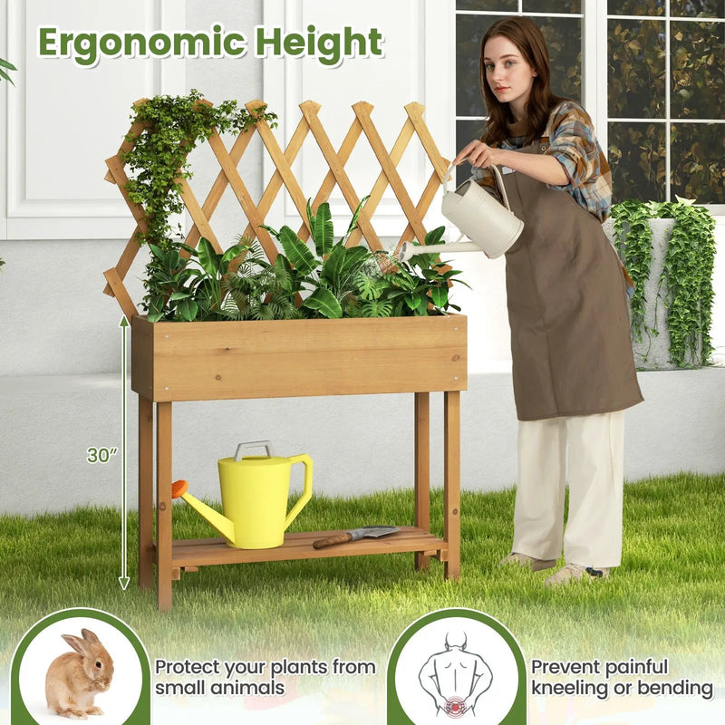 Wooden Rolling Raised Garden Bed with Trellis and Storage Shelf by DirectDeals