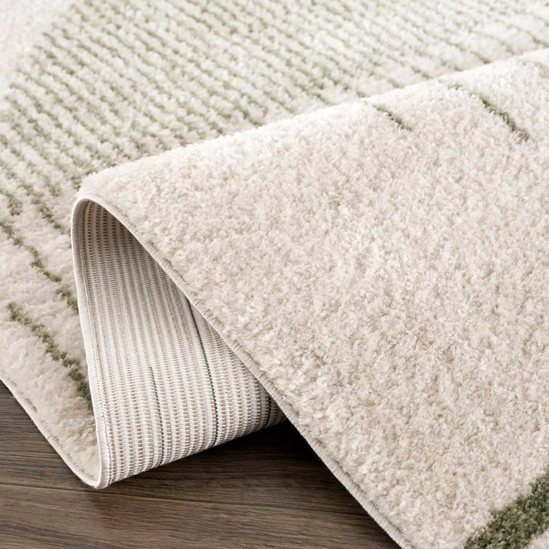 Apichu Green Washable Area Rug by Boutique Rugs