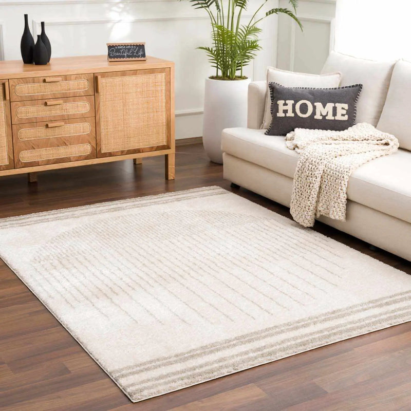 Apichu Gray Washable Area Rug by Boutique Rugs