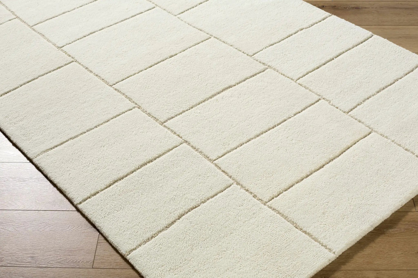 Xylia Beige Area Rug by Boutique Rugs