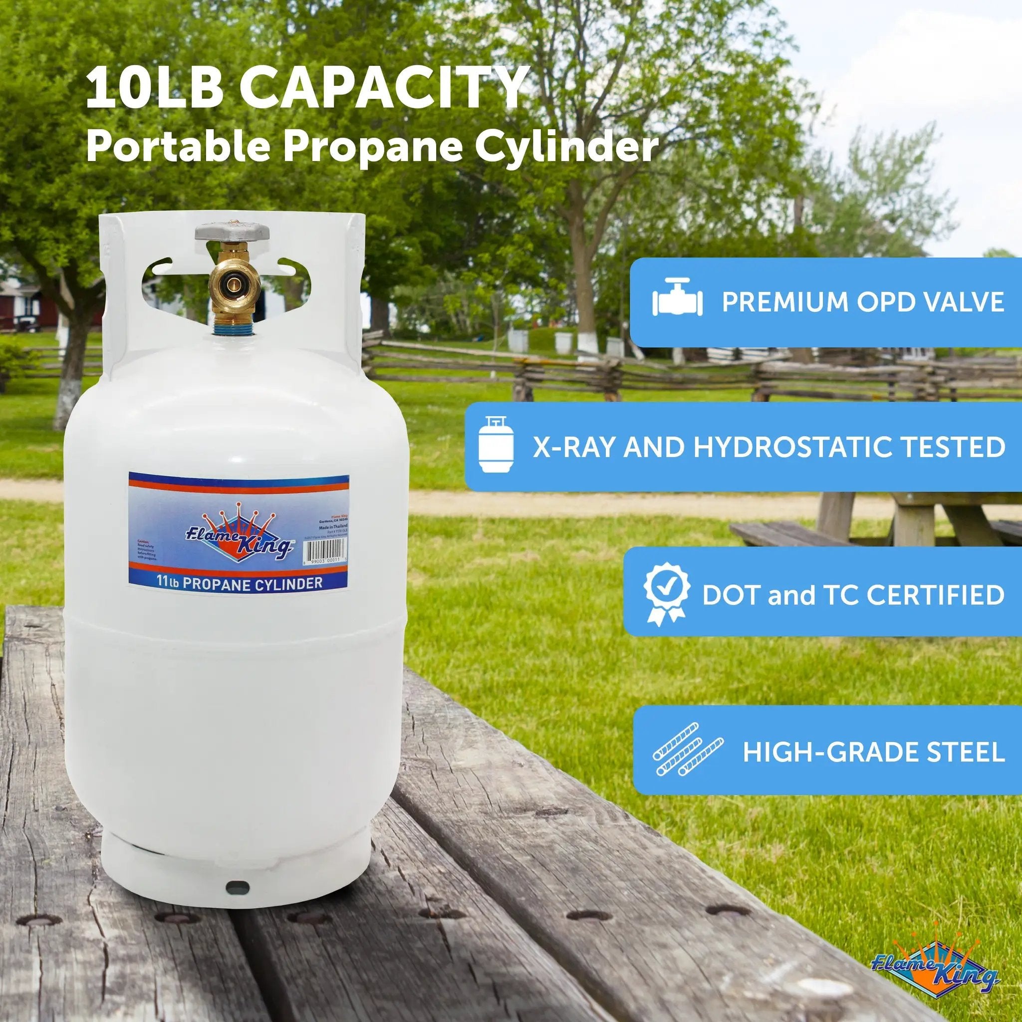 Flame King 10lb Propane Tank LP Cylinder with OPD by Flame King Products