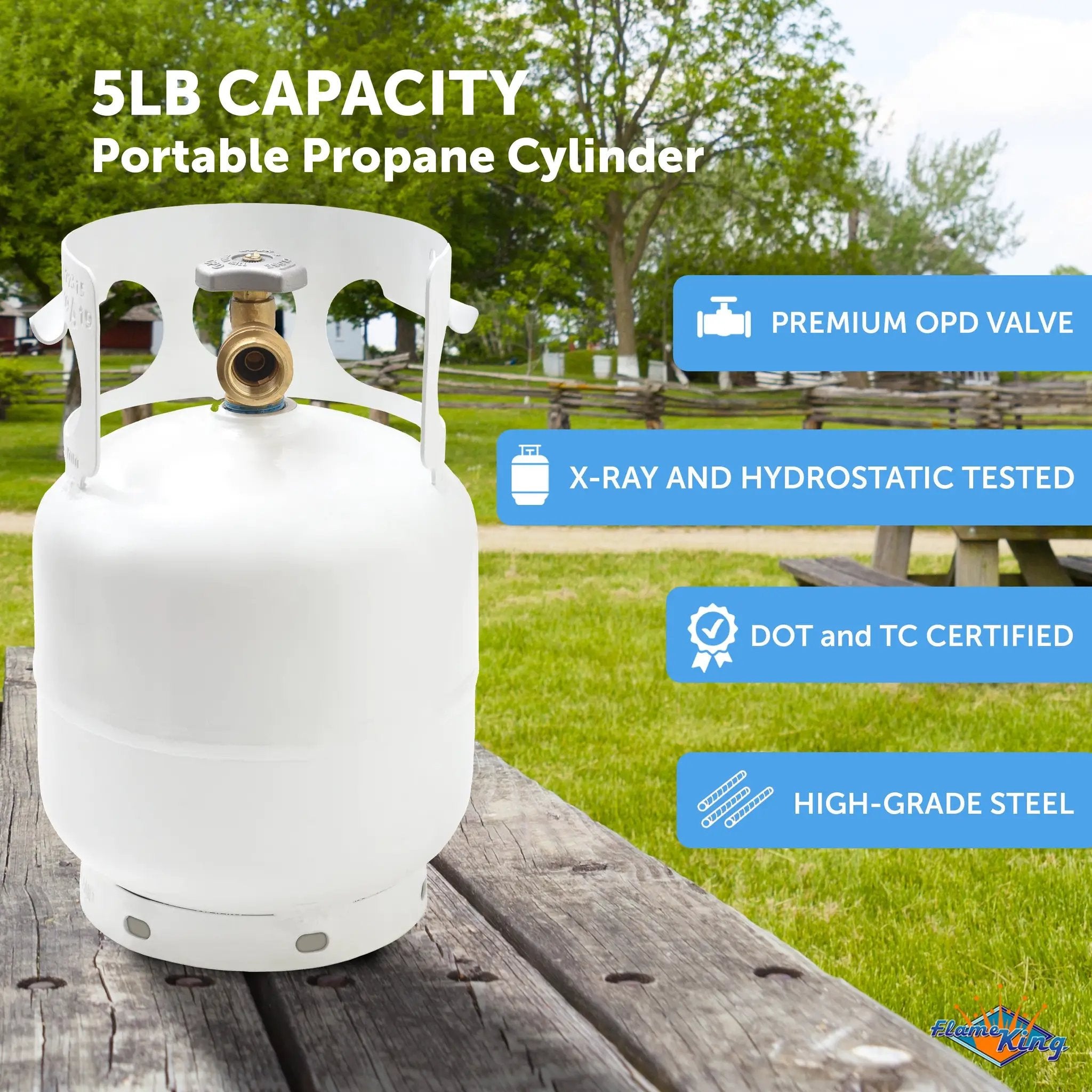 Flame King 5lb Propane Tank LP Cylinder with OPD by Flame King Products