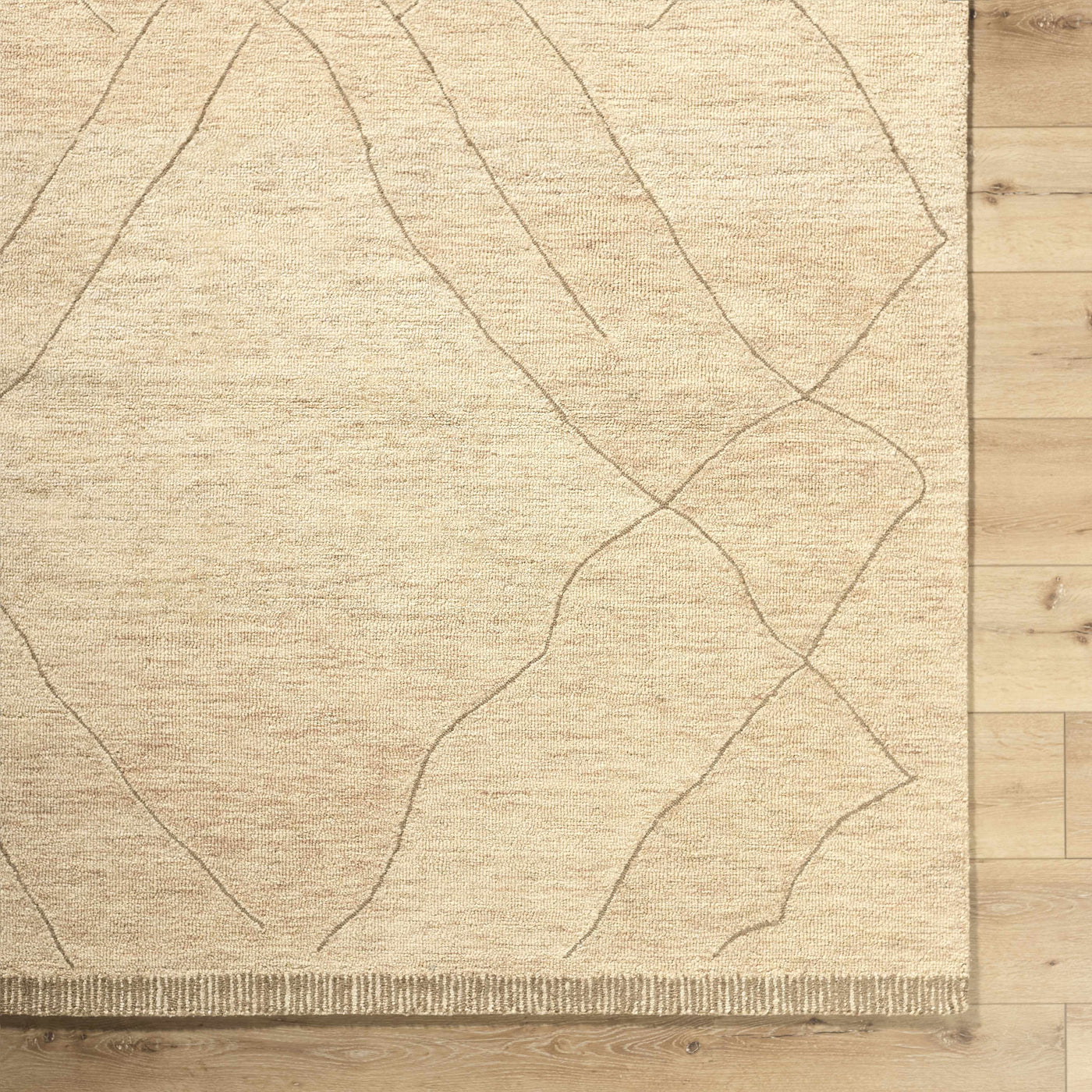 Addien Area Rug by Boutique Rugs