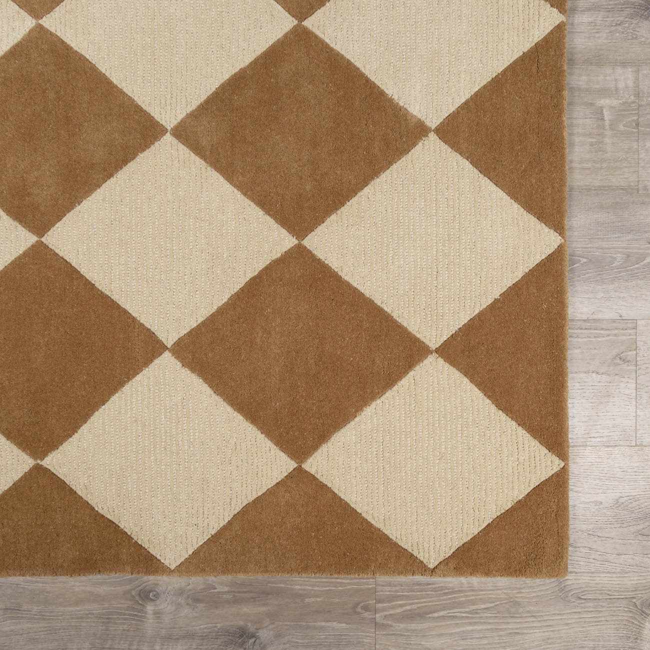Aradia Tan Area Rug by Boutique Rugs